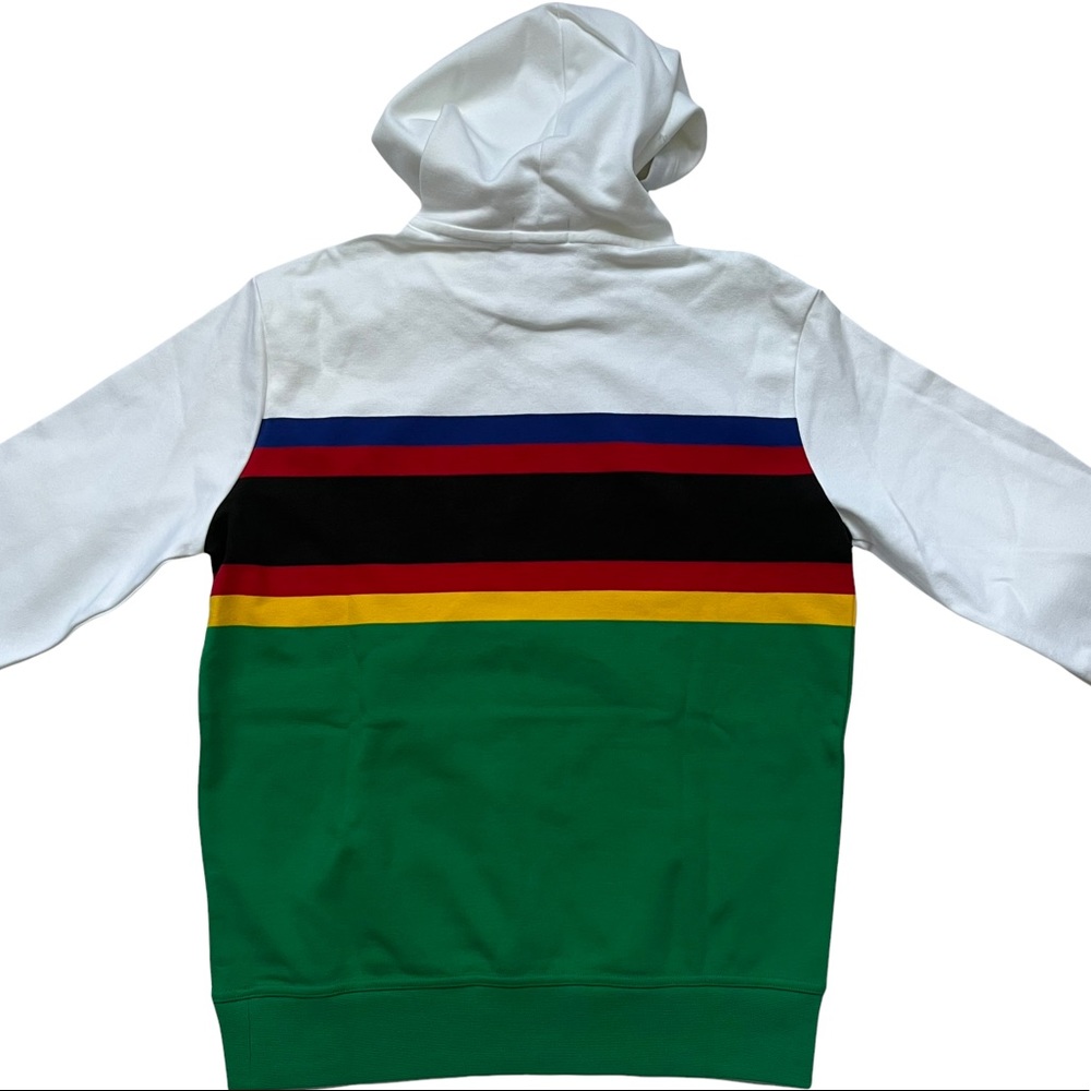 POLO RALPH LAUREN World Cup Racing Alpine Logo Striped Multicolor Hoodie - Picture 4 of 12